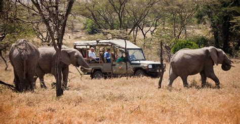 Ab Nairobi T Gige Luxus Safari Kenia Aus Der Luft Getyourguide