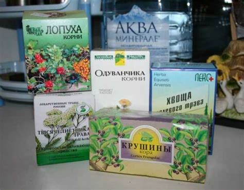 Корень лопуха одуванчика пырея полезные свойства и противопоказания