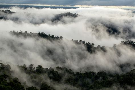 Mashpi Lodge In The Chocó Cloudforest Of Ecuador Nuvo