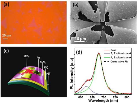 Monolayer Mos2 Flexible Device Fabrication And Photoluminescence A Download Scientific