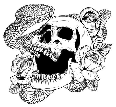 Skull And Snake And Roses Drawings