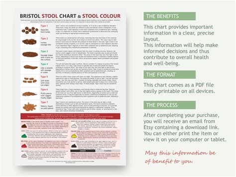 Bristol Stool Chart, Digital Download PDF, Stool Health, Healthy Poop