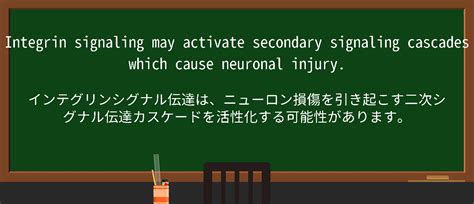 【英単語】neuronal Injuryを徹底解説！意味、使い方、例文、読み方
