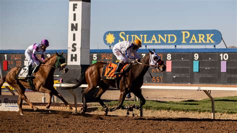 These longshot wins in today's results at aqueduct surprise bettors 28