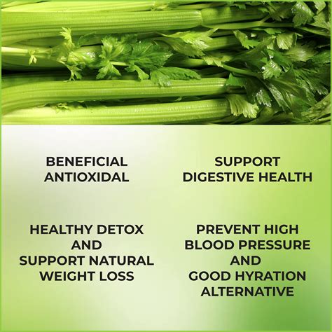 Celery Benefits For Weight Loss