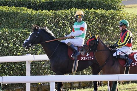 【東スポ杯2歳s】モレイラ「素晴らしい将来があると思う」シュトラウスが重賞初制覇 ライブドアニュース