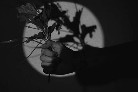 Premium Photo Close Up Of Person Hand Holding Flowering Plant