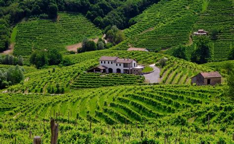 Cammino Delle Colline Del Prosecco Tappe Itinerario E Mappa Idee Di