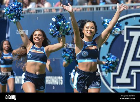 Toronto Argonauts Cheerleaders 2024 Schedule - Judie Marthe