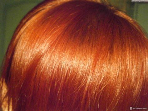 Эстель Рыжие Оттенки Фото — Картинки фотографии