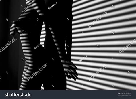 Nude Woman Sexy Artistic Black White Stock Photo Shutterstock
