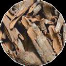 Prunus Pygeum Bark Extract Chemical Resources Cphi Online