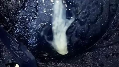 Ah Onani Hot Crot Xhamster