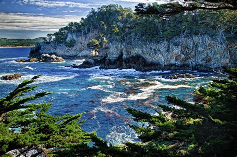 Point Lobos Photograph By Ron White Fine Art America