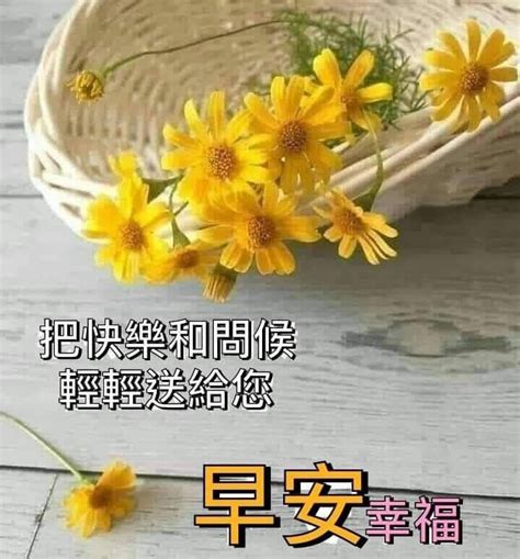 Pin By Mk On Morning 早安午安 Good Morning Flowers Good Morning