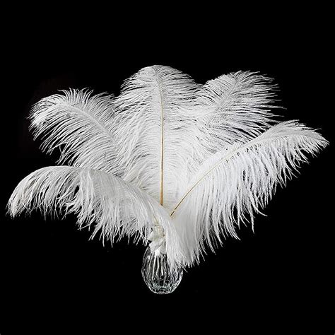 Amazon Ballinger Large White Ostrich Feathers 24Pcs 12 14inch