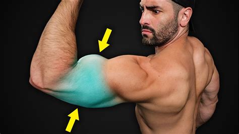 Insane Bicep And Tricep Workouts Eoua Blog