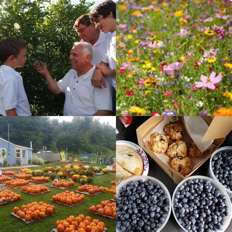 Hidden Treasures Resale... - Hidden Treasures Resale Shoppe