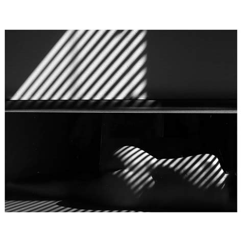 Nobuyoshi Araki Yk Nobuyoshi Araki Japanese Photography Nude Black And White Art