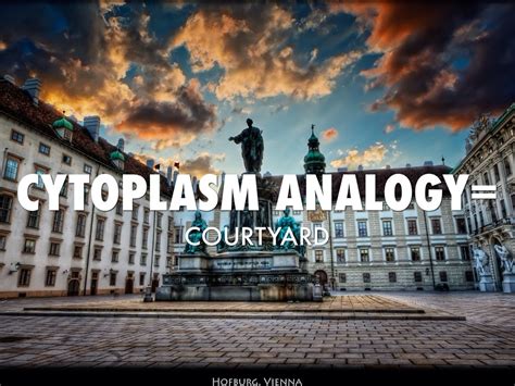 Cell Analogy Project by Michael Arango