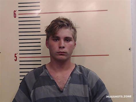 Fitzgerald Morgan Lee Parker County Mugshots Zone