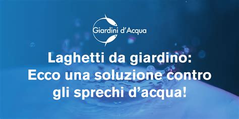 Laghetti Da Giardino Ecco Una Soluzione Contro Gli Sprechi Dacqua