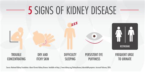 What Are The Warning Signs Of Kidney Disease - vrogue.co