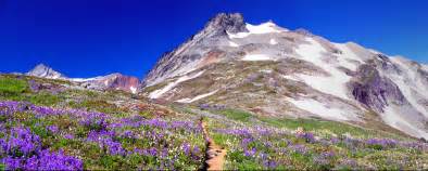 Alpine tundra - Wikimedia Commons