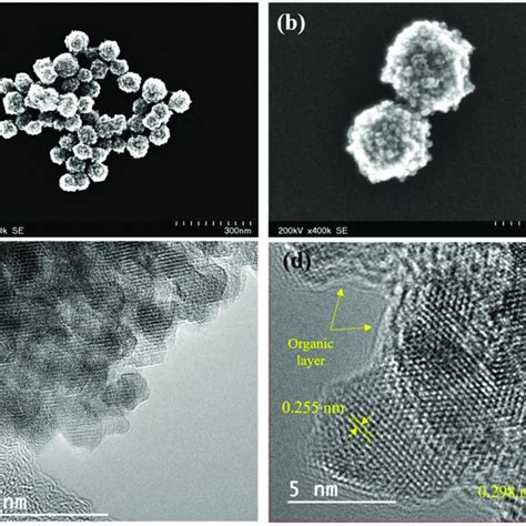 Ab Stem Images Of Magnetic Clusters C Hrtem Image Of The Magnetic