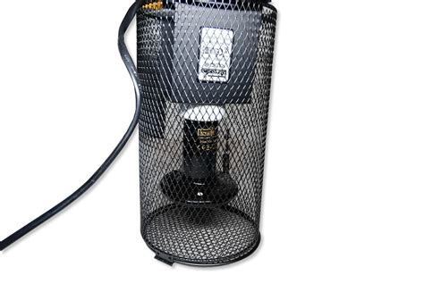 can snake hyperactive indoors 3