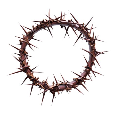 Religious Iconography, Crown Of Thorns, Christian Symbolism, Suffering