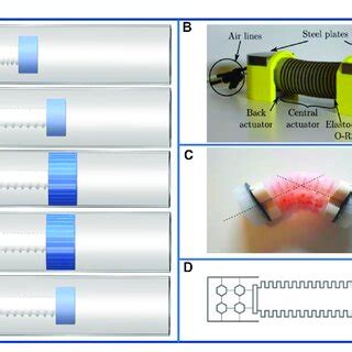 Pdf Actuation And Design Innovations In Earthworm Inspired Soft