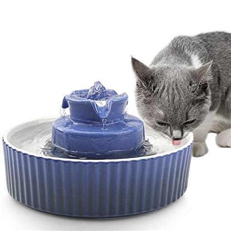 Best Ceramic Cat Water Fountains For Hydrated Happy Cats