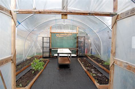 polytunnel catholicirelandnetcatholicirelandnet
