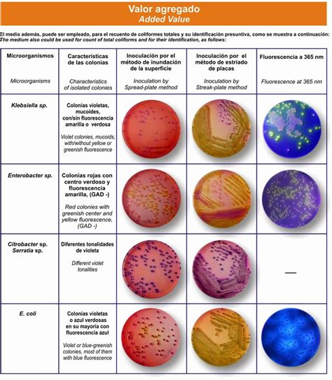 Microbiología Medios de cultivo