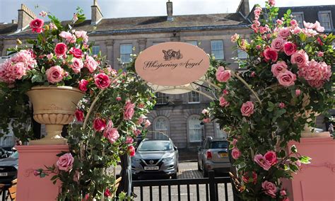 4 Star Boutique Hotel, Bar & Restaurant | Tigerlily Edinburgh