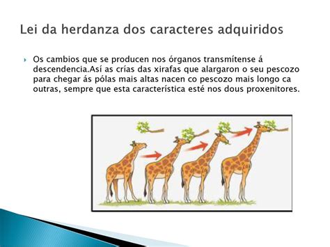 Lei Dos Caracteres Adquiridos - Lei Da Transmissão Dos Caracteres Adquiridos - BINKEDU
