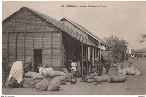 Descubre la fascinante heráldica de Louga y su historia ancestral