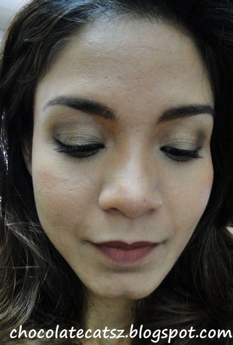 Chocolate Cats Urban Decay Naked Palette Review And Looks