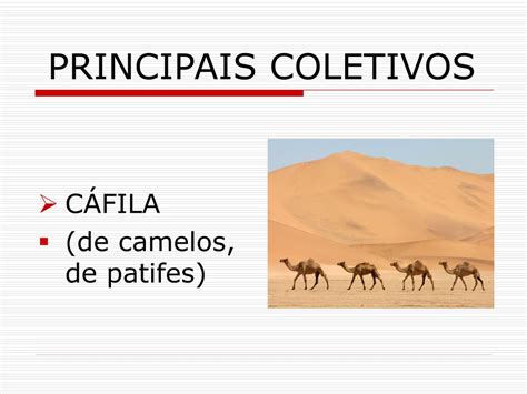 Cáfila É Coletivo De Que - PPT - SUBSTANTIVOS COLETIVOS PowerPoint Presentation, free download ...