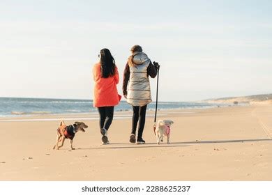 Lesbian Sex On Beach Images Stock Photos Vectors Shutterstock
