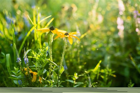 Blaine, MN Hospice Care | St. Croix Hospice