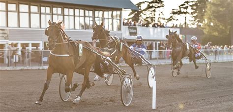 SEX HEMMAVINNARE UNDER SISTA KVÄLLEN