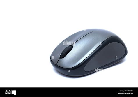gray mouse  res stock photography  images alamy