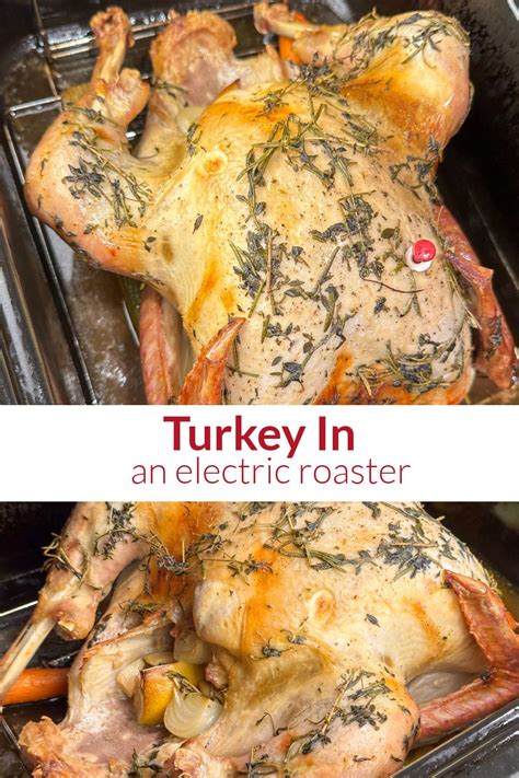 Easy Electric Roaster Turkey Recipe