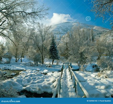 Amazing Snowy Winter in Kazakhstan at December Stock Photo - Image of