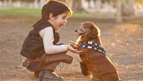 El valor de las mascotas compañeras fieles y sanadoras emocionales