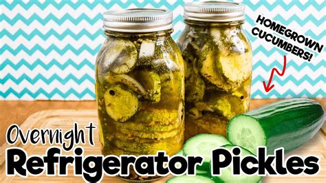 Making Pickles Overnight From Homegrown Cucumbers Youtube