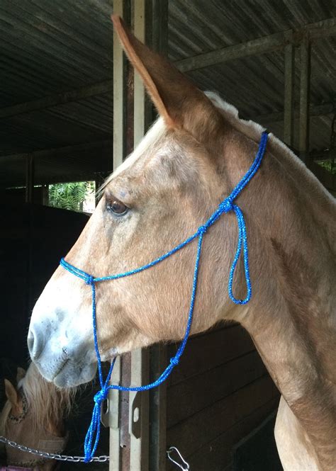 Do It Yourself Horse Ownership: Do It Yourself: How to Make a Rope Halter