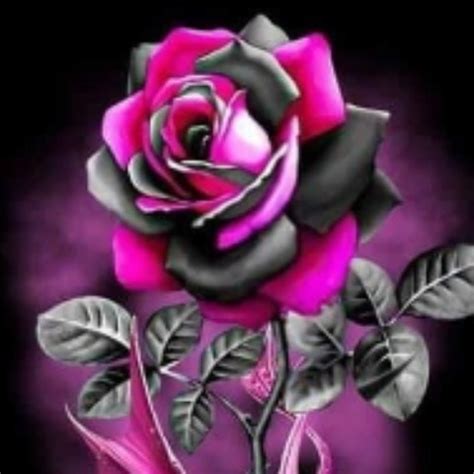 Außergewöhnliche MILF xHamster